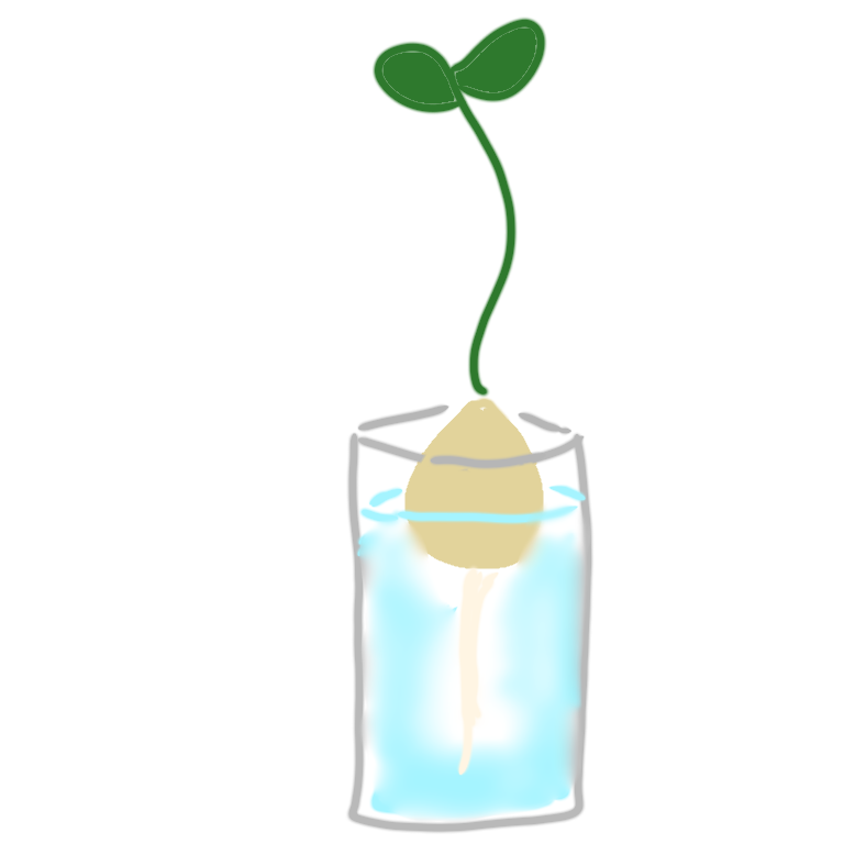 ☆アボカド成長日記☆_f0351775_12125115.png