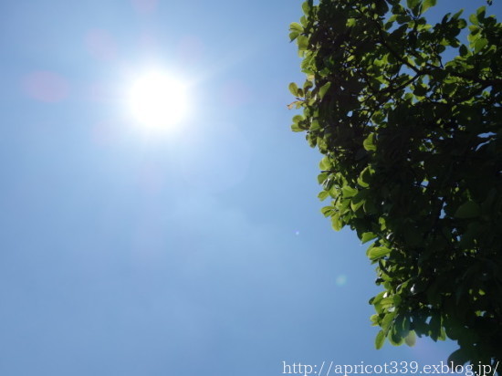 気分が沈みがち、そんなときもある_c0293787_16284137.jpg