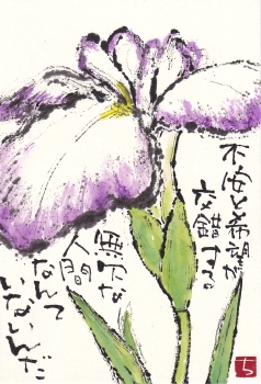 ハナショウブ・不安と希望が_a0030594_22430362.jpg