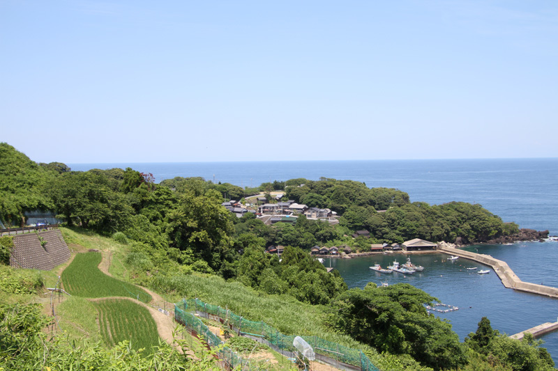 またまた海が見たくなったので。。。。。_d0383596_23430782.jpg