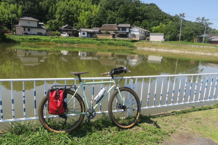 山手ー清音ーあじさい_c0132901_19310009.jpg
