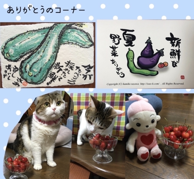 こてつくんとごまちゃん兄妹☆_f0375804_08015400.jpg