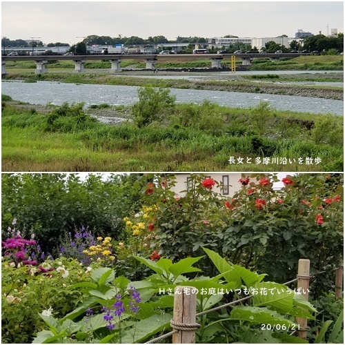 日々の事_c0051105_10572705.jpg
