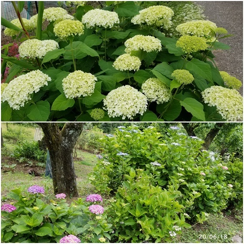 日々の事_c0051105_11254813.jpg