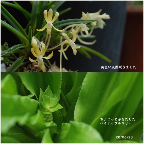 日々の事_c0051105_22195059.jpg