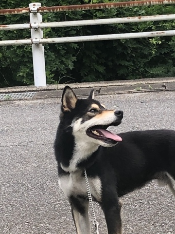 _f0078320_16123417.jpeg