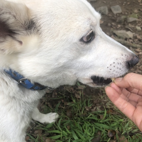 _f0078320_16170895.jpeg