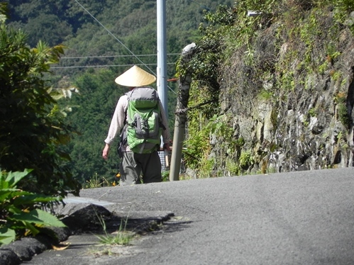 コスモスの秋、遍路さん続々_f0213825_16470268.jpg