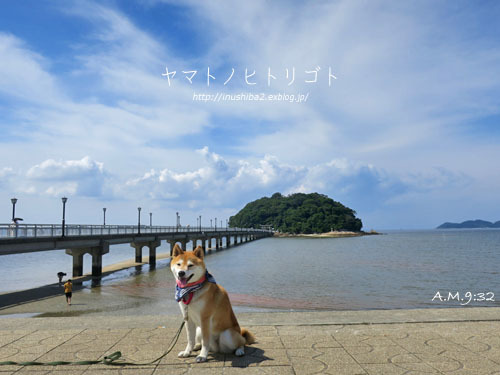 竹島_e0394031_06062713.jpg