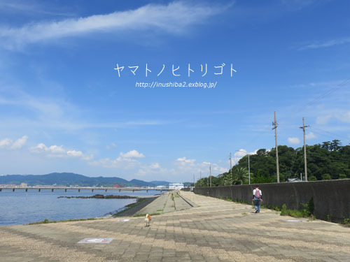 竹島_e0394031_06063482.jpg
