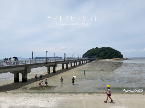 竹島_e0394031_06064140.jpg