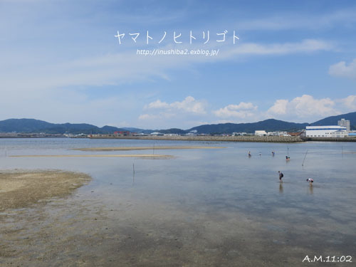 竹島_e0394031_06064471.jpg