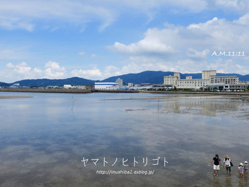 竹島_e0394031_06064676.jpg