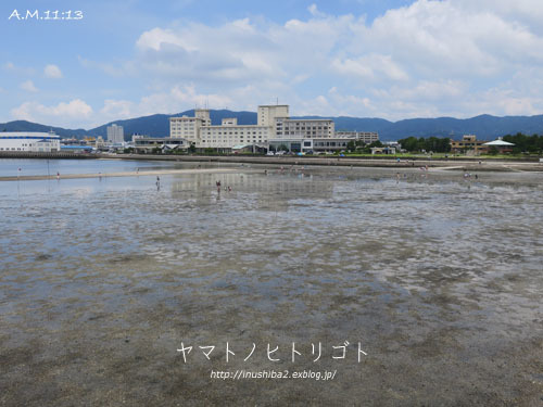 竹島_e0394031_06064914.jpg