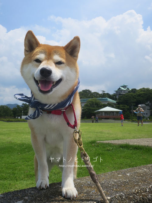 竹島_e0394031_06065864.jpg