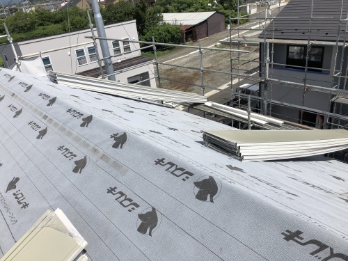 甲斐市　ホワイトの屋根_b0242734_20003665.jpeg