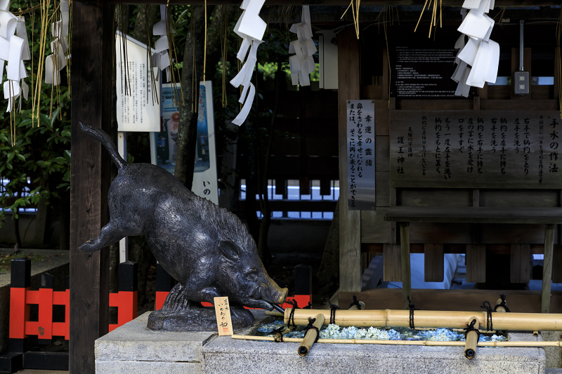 夏越の大祓(護王神社・北野天満宮)_f0155048_22575955.jpg