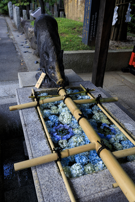夏越の大祓(護王神社・北野天満宮)_f0155048_2258998.jpg
