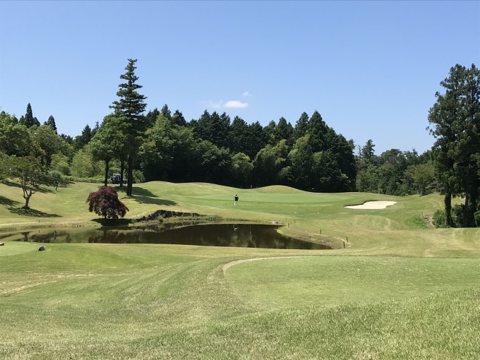 梅雨の晴れ間に家内とゴルフ_b0100062_08220765.jpeg