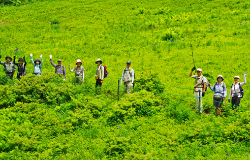 草原を行く その1 夏の入笠山 ほんものの草花に逢う 森林インストラクターのブログ フォレスト 石風花1 草原を行く その1 夏の入笠山 ほんものの草花に逢う 森林インストラクターのブログ フォレスト 石風花1