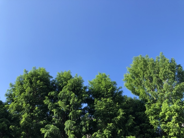 再会延期。_a0394574_22012171.jpeg