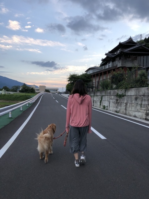再会延期。_a0394574_22131663.jpeg