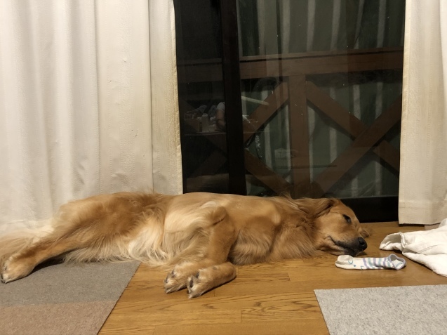 再会延期。_a0394574_22242072.jpeg