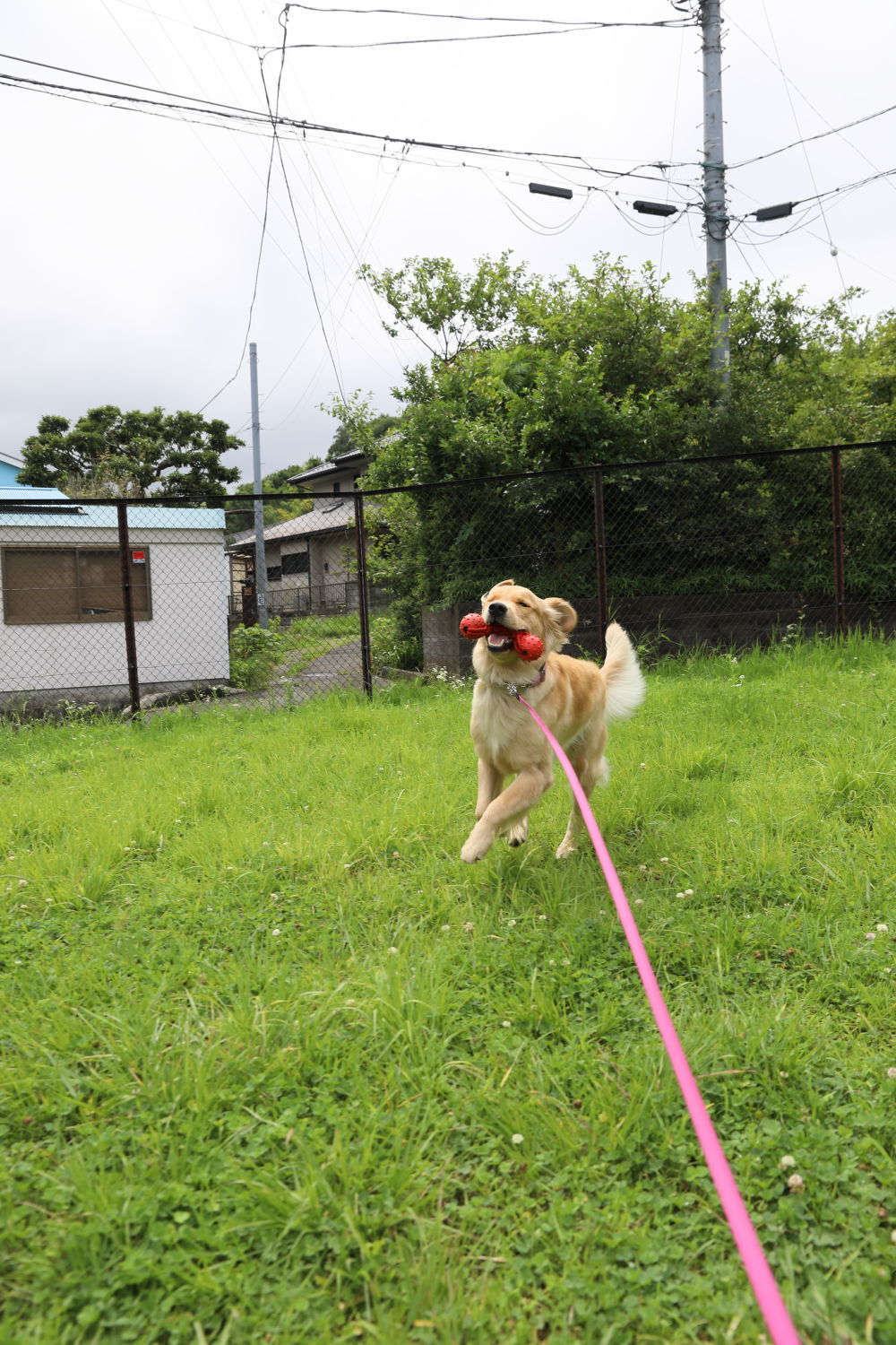 1歳児さん♪_b0275998_11330204.jpg