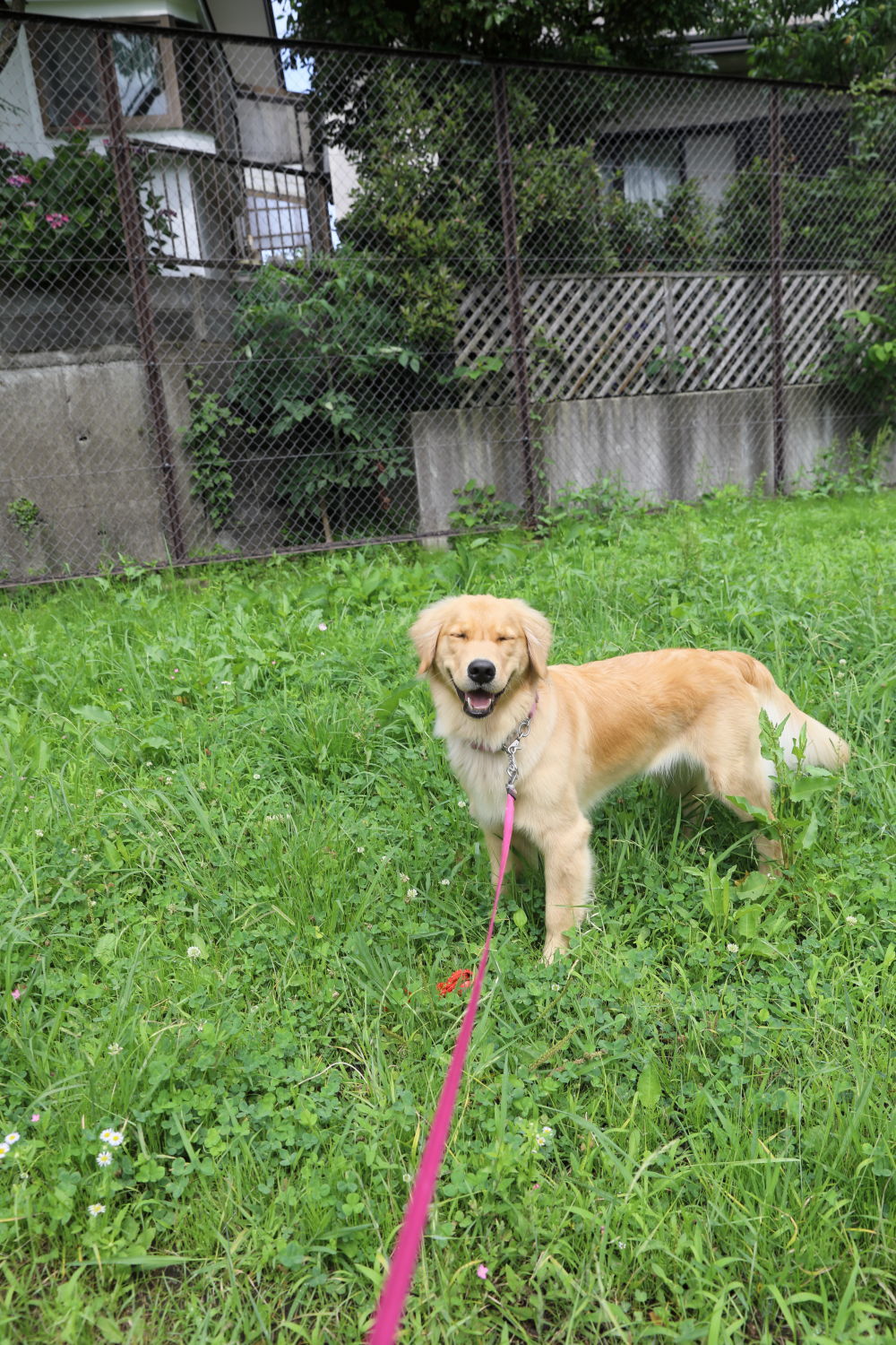 1歳児さん♪_b0275998_11330656.jpg