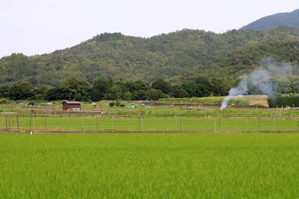 広沢の池(遍照池)嵯峨野_e0048413_21011705.jpg