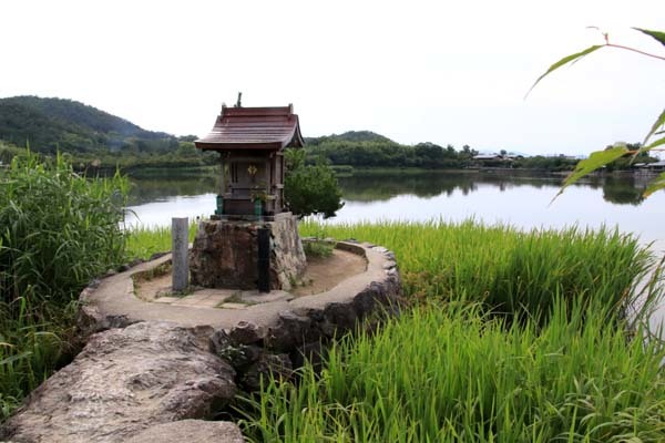 広沢の池(遍照池)嵯峨野_e0048413_21013189.jpg