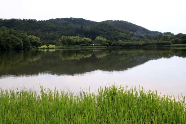広沢の池(遍照池)嵯峨野_e0048413_21014559.jpg