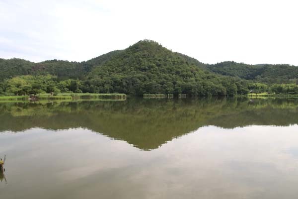 広沢の池(遍照池)嵯峨野_e0048413_21022030.jpg