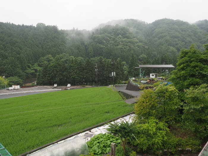 雨の一日_c0116915_23405818.jpg