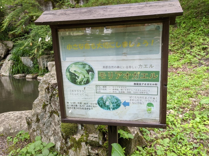 ホタルとRVパークと私_e0036217_13305928.jpg