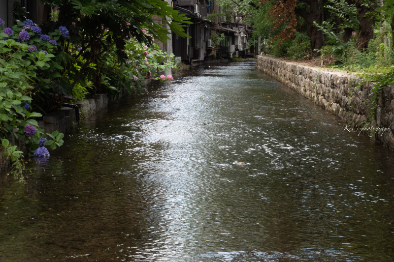 坂本龍馬ゆかりの地へ_c0235725_07045123.jpg