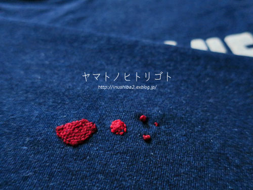 Tシャツに穴・・・_e0394031_06111864.jpg