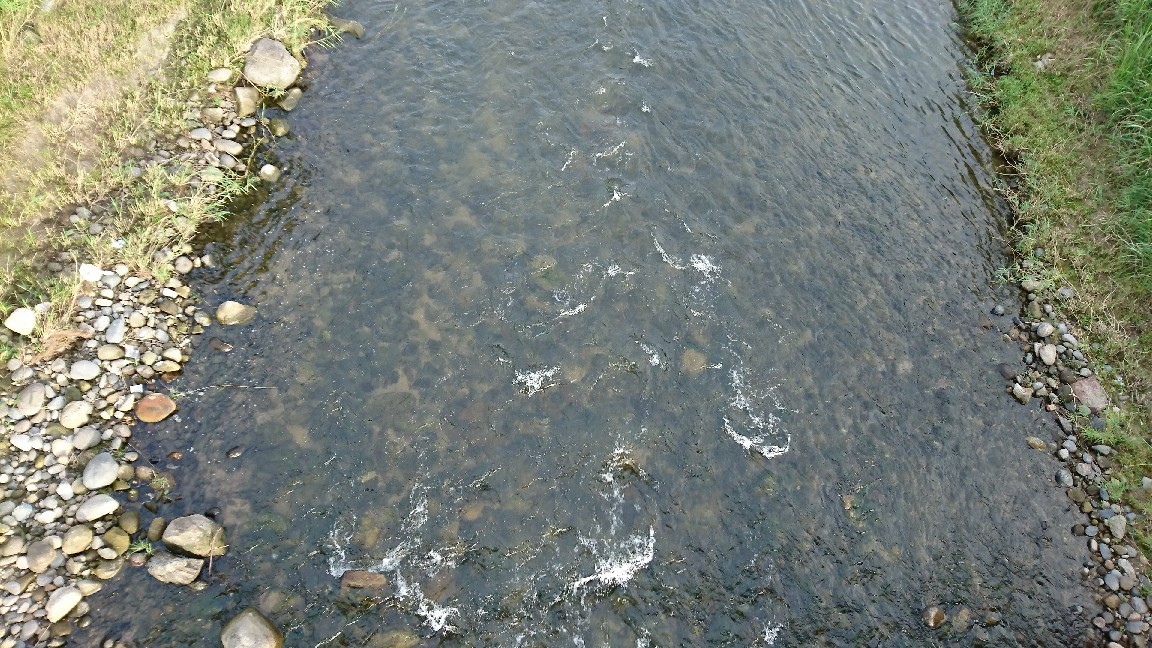 6月25日河川情報。午前..._c0266737_06153717.jpg
