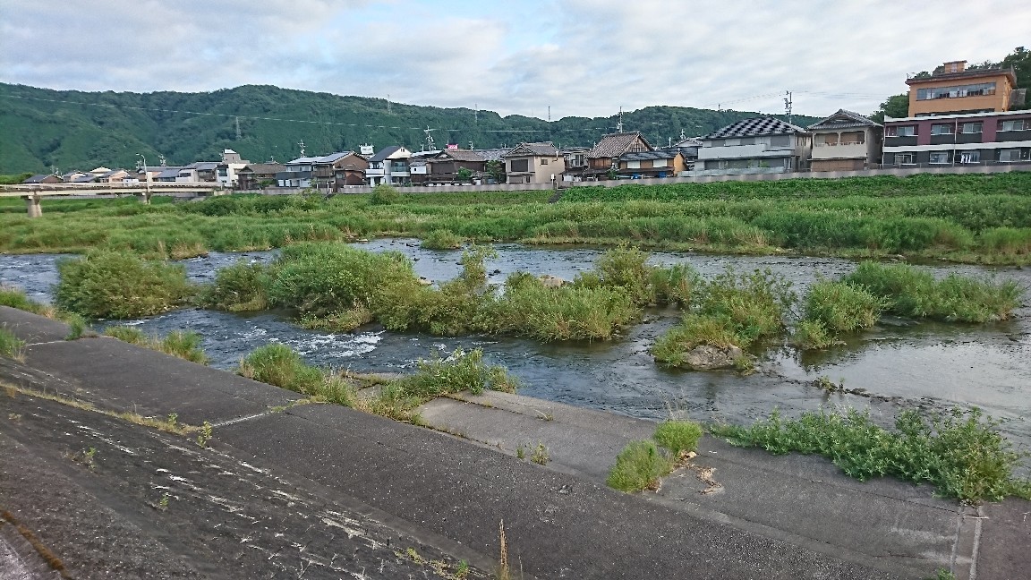 6月25日河川情報。午前..._c0266737_06153726.jpg
