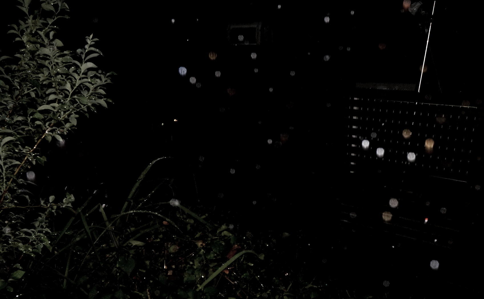 雨音はストレプトマイセスの調べ_b0060239_20440162.jpg
