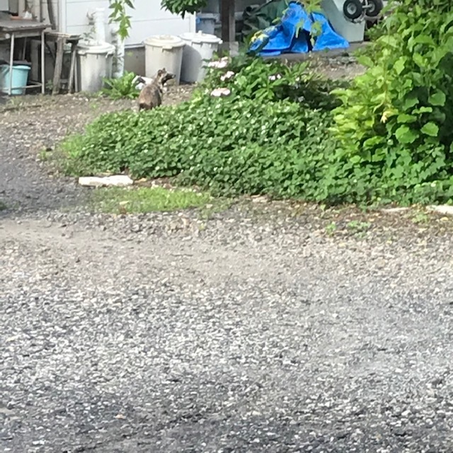 パニックなんとか回避す。_e0226943_23142387.jpg