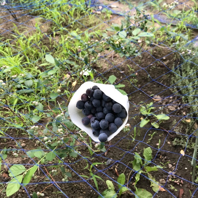 パニックなんとか回避す。_e0226943_23152298.jpg