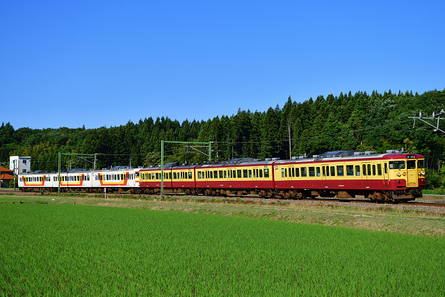 撮影記録 新潟 白山の信濃川に架かる白山鉄橋と出雲崎 妙法寺の沢田地区にて115系6連n33 N40編成で運転される越後線156mと125mを撮る Ym11の撮影記録帳