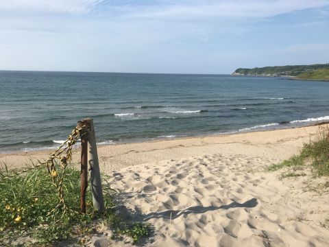 とっとり券プロジェクト始まりました。_f0009169_07324232.jpg