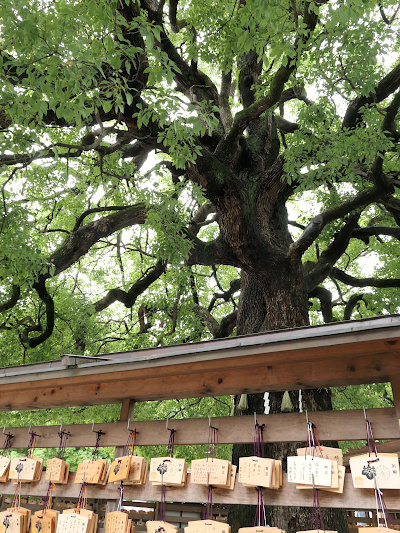 artigana-gのTOKYO・394_b0055196_13325987.jpg