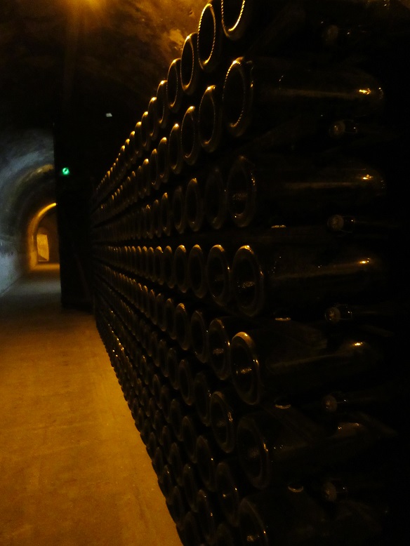 Taittinger 訪問 ♪ (ランス)_c0212604_18211736.jpg