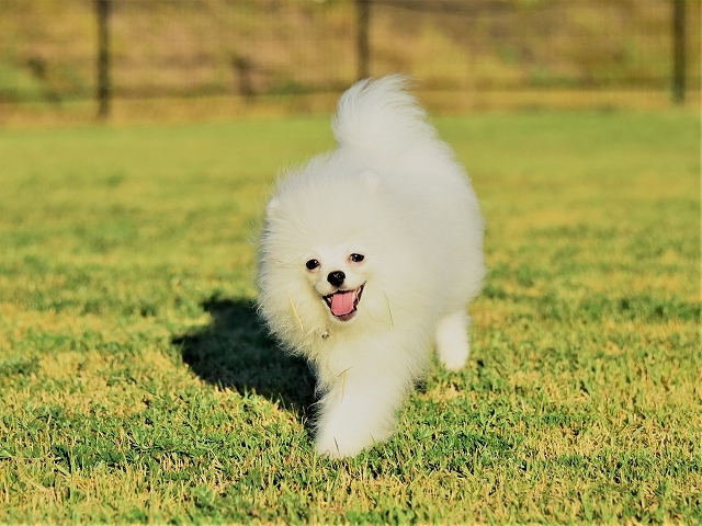 この子はいったいどうなるの?_d0360206_22200639.jpg