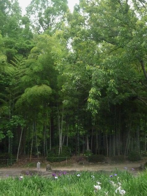 須磨離宮公園散策・・♪_d0147611_11401241.jpg