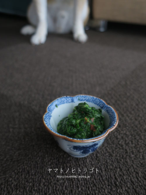 療養食_e0394031_06032745.jpg