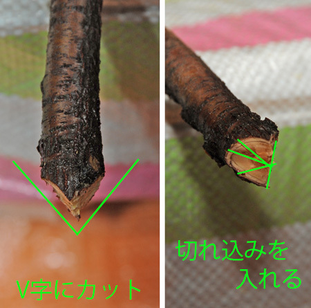 本堂の仏花_b0400632_10222213.jpg